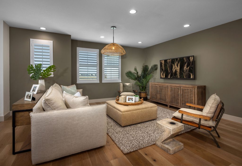 color of the year living area with olive walls and wooden floors