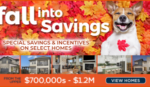 Kiper Homes Fall pet contest